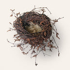 Handwoven birch twig nest sculpture with reindeer moss by Irish artisan Joe Hogan, created from natural materials gathered across the Irish landscape.