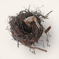 Handwoven birch twig nest sculpture by Joe Hogan made from natural materials gathered across the Irish landscape.