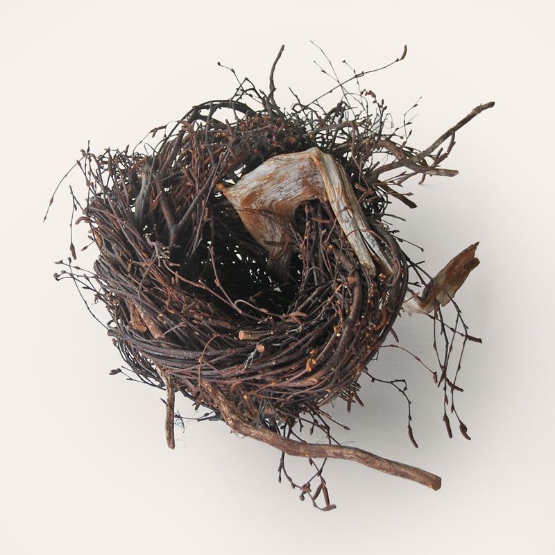Handwoven birch twig nest sculpture by Joe Hogan made from natural materials gathered across the Irish landscape.