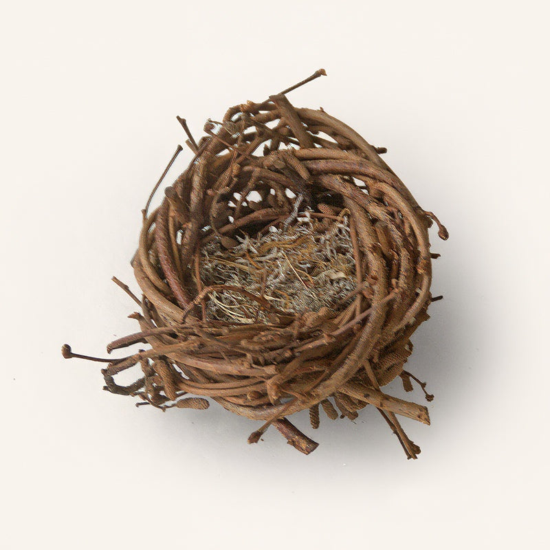 Handwoven hazel twig nest sculpture with catkins and reindeer moss by Irish artisan Joe Hogan, created from natural materials gathered across the Irish landscape.