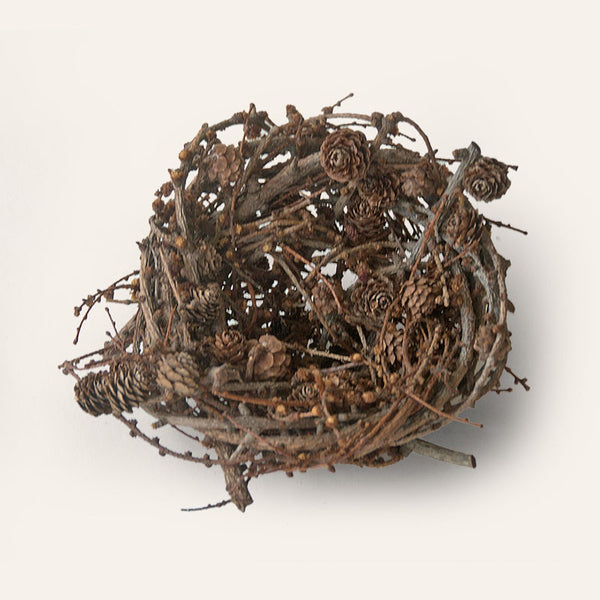 Larch Twig & Pine Cone Large Nest Sculpture