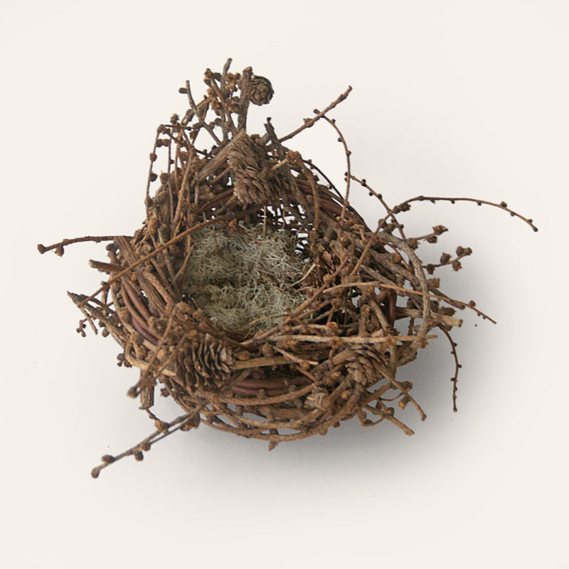 Handwoven larch twig nest sculpture with reindeer moss by Irish artisan Joe Hogan, created from natural materials gathered across the Irish landscape.