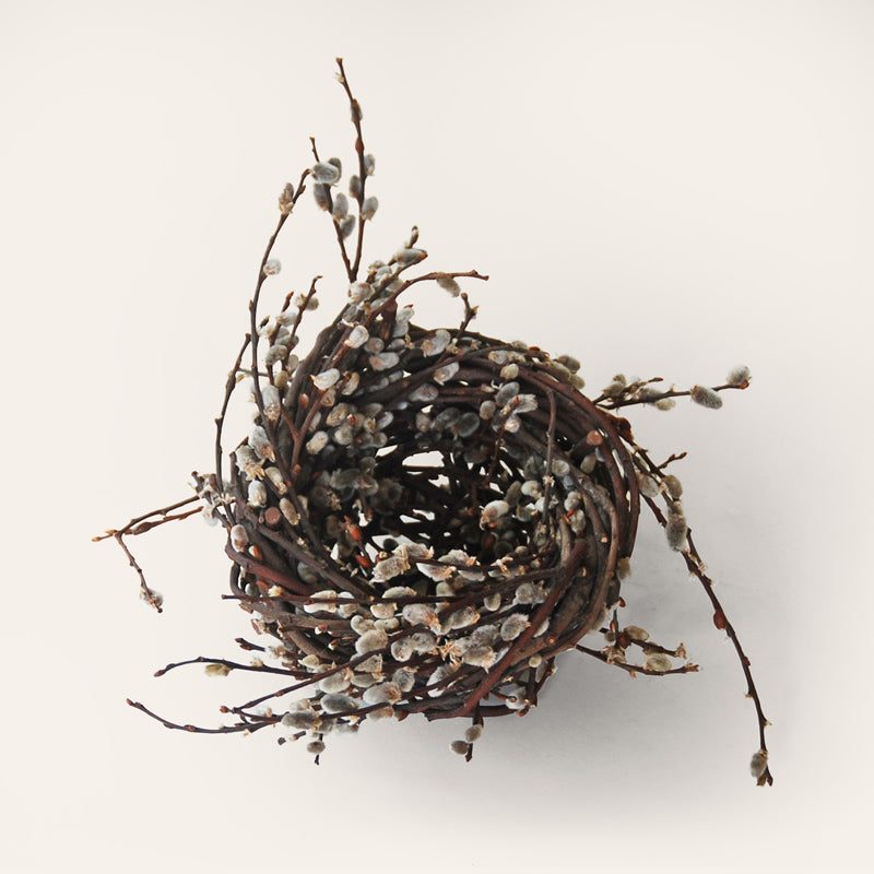 Handwoven grey willow nest sculpture with large catkins by Irish artisan Joe Hogan, created from natural materials gathered across the Irish landscape.