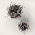 Handwoven pair of catkin nest sculptures by Irish artisan Joe Hogan, created from grey willow catkins gathered from the Irish landscape.