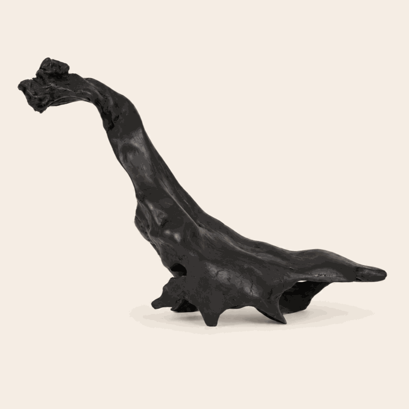Primal Creatrure bog oak sculpture by Larry Harney, hand-carved from prehistoric Irish bog oak.
