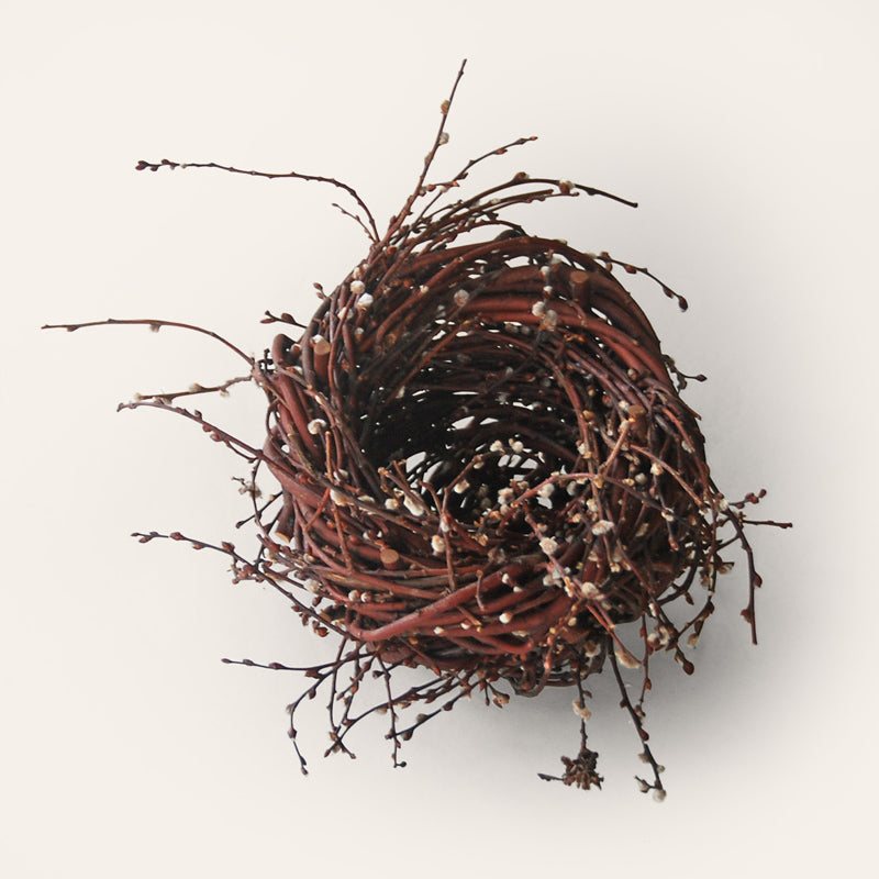 Handwoven grey willow nest sculpture with small catkins by Irish artisan Joe Hogan, created from natural materials gathered across the Irish landscape.